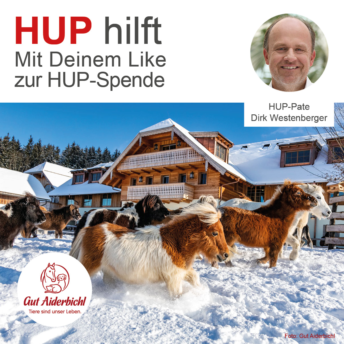 04_Weihnachtsaktion_2021